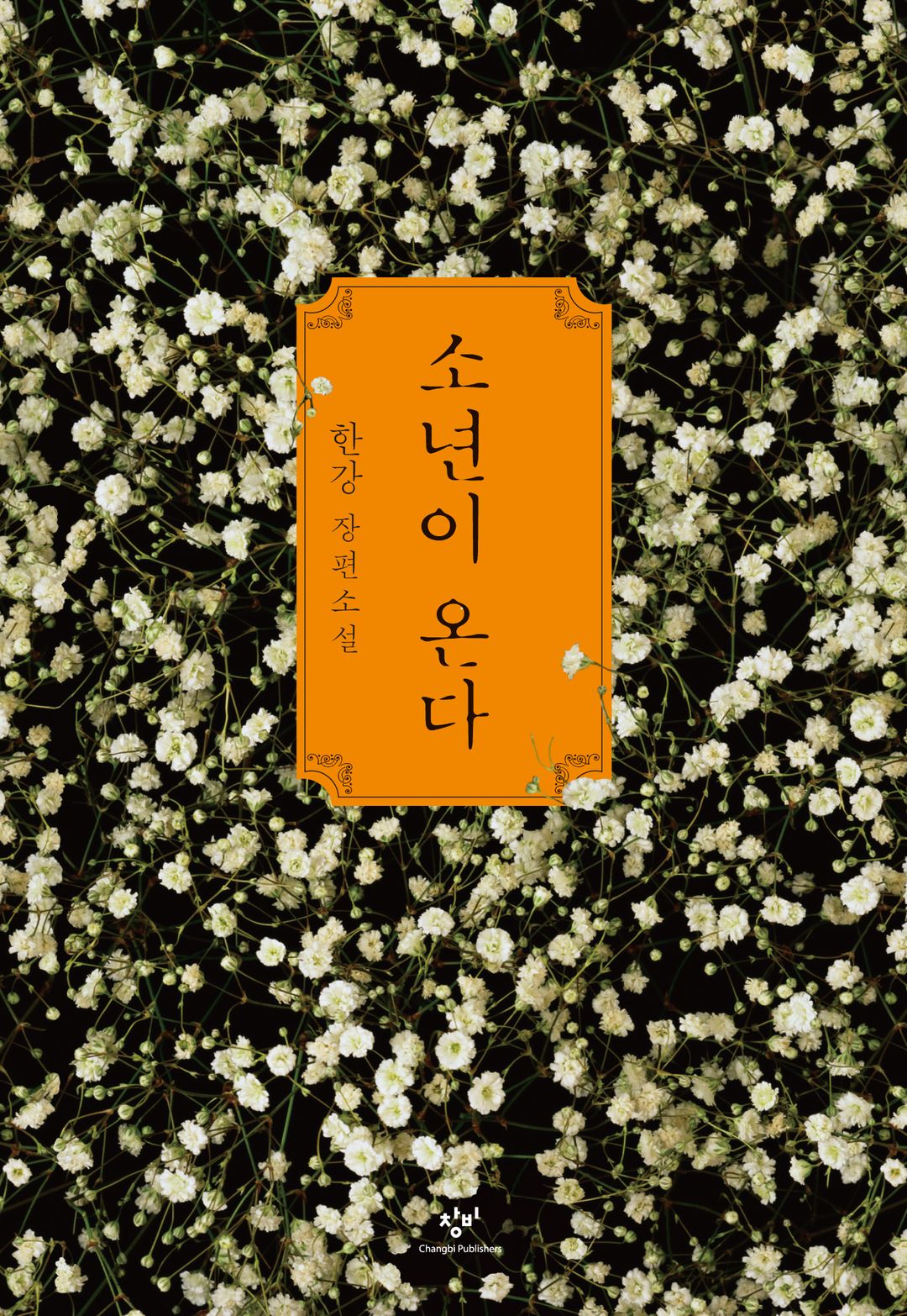 소년이 온다 - 한강의 기억과 애도의 문학