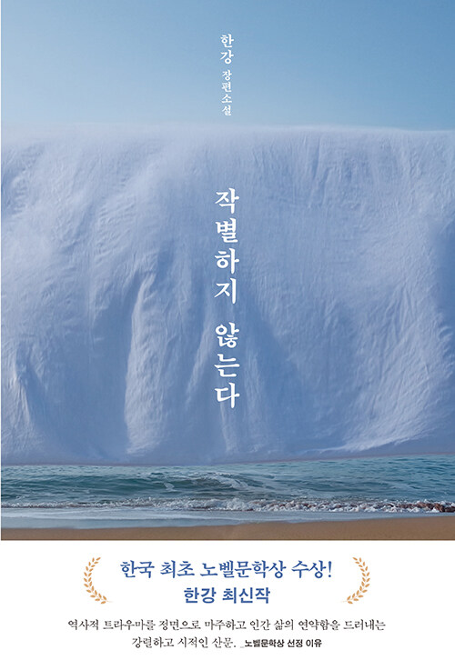 작별하지 않는다 - 제주4·3 기억을 어루만지는 한강 장편소설